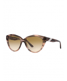 EA4178 516913 54 Shiny striped brown EMPORIO ARMANI Sunglasses