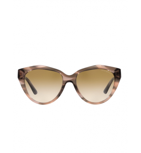 Солнечные очки EMPORIO ARMANI EA4178 516913 54 Shiny striped brown
