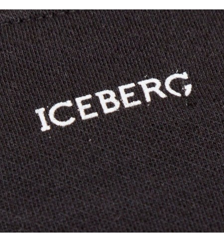 Спортивная кофта ICEBERG 